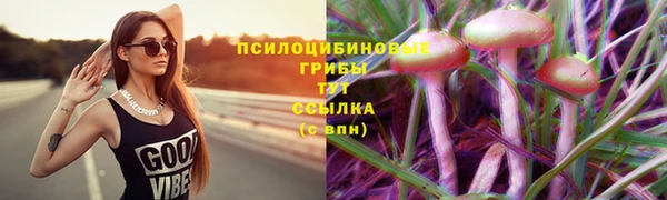 прущий лед Навашино