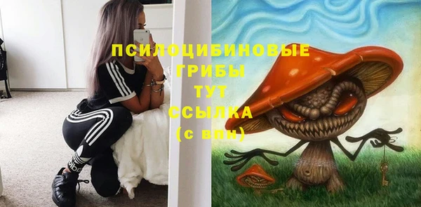тгк Михайлов
