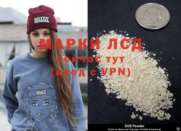спиды Михайловка