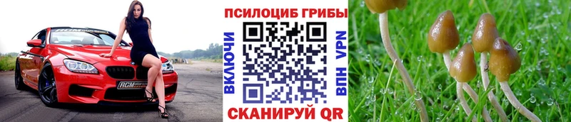 Галлюциногенные грибы MAGIC MUSHROOMS  Купить  Задонск 
